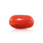 Red Coral - 4.01 Carats