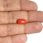 Red Coral - 4.01 Carats - Image 3