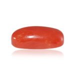 Red Coral - 4.01 Carats - Image 2
